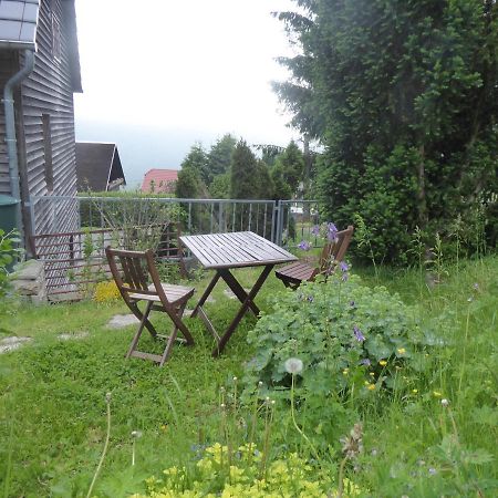 Haus Bergwiese - Fuer Naturfreunde, Familien, Wanderer Gehlberg Ngoại thất bức ảnh