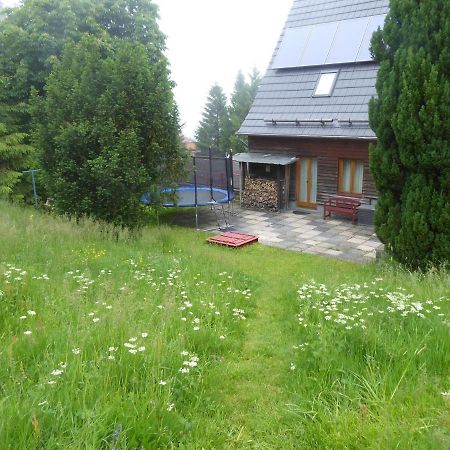 Haus Bergwiese - Fuer Naturfreunde, Familien, Wanderer Gehlberg Ngoại thất bức ảnh